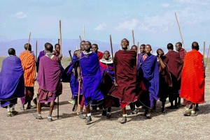 Impresionante Tanzania, 7 días de Safari en Albergue en Grupo Reducido