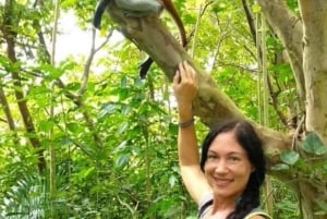 THE GREEN TOUR: Jozani Forest & Mangrove kayaking experience