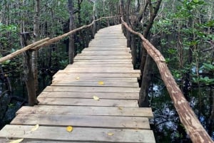 THE GREEN TOUR: Jozani Forest & Mangrove kayaking experience
