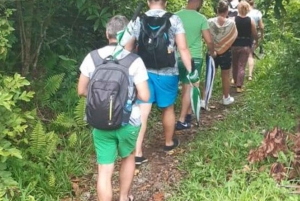 THE GREEN TOUR: Jozani Forest & Mangrove kayaking experience