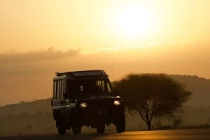 Iringa: 2-dages Kitulo National Park Camping Safari