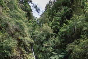 Iringa: 2-tägige Safari im Ruaha-Nationalpark mit Pirschfahrten