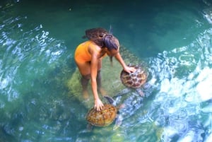 Joazani-bos en Salam-grot met entreegeld