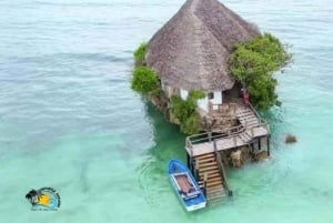 Jozani Forest, Blue Lagoon Snorkeling & The Rock Restaurant