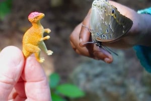 Sansibar: Jozani-Wald, Schmetterlinge und Mangroven-Kajakfahren