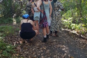 Zanzibar: Jozani Chwaka Bay Park Private Guided Tour
