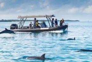 ZANZIBAR:Jozani Forest and Paje beach day trip