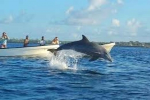 ZANZIBAR:Jozani Forest and Paje beach day trip