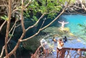 Jozani Forest, kuza cave and mtende beach