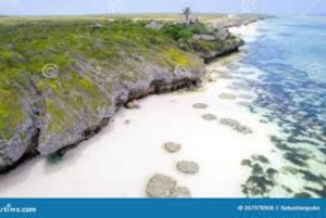 Jozani Forest, kuza cave and mtende beach