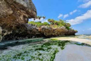 Jozani Forest, kuza cave and mtende beach