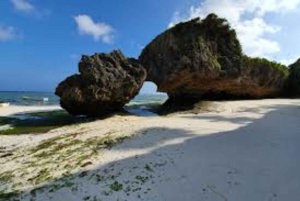 Jozani Forest, kuza cave and mtende beach