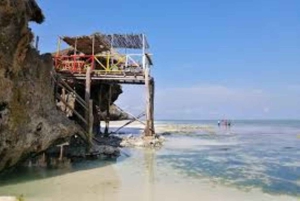 Jozani Forest, kuza cave and mtende beach