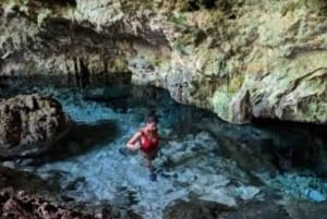 Jozani-skogen, Kuza-hulen, Mtende-stranden og The Rock Restaurant