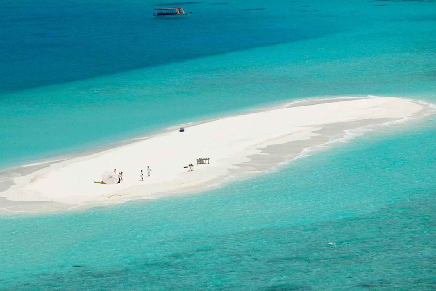 Jozani forest, Nakupenda beach & Prison island with Lunch
