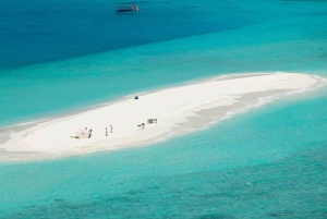 La forêt de Jozani, la plage de Nakupenda et l'île-prison, avec déjeuner