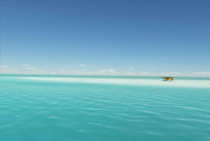 La forêt de Jozani, la plage de Nakupenda et l'île-prison, avec déjeuner