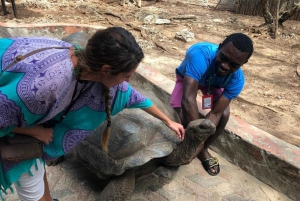 La forêt de Jozani, la plage de Nakupenda et l'île-prison, avec déjeuner
