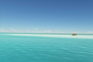 Jozani forest, Nakupenda beach & Prison island with Lunch