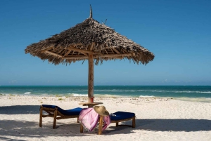 Excursion dans la forêt de Jozani et à la plage de Paje avec le restaurant The Rock