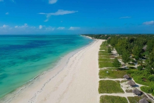 Excursion dans la forêt de Jozani et à la plage de Paje avec le restaurant The Rock