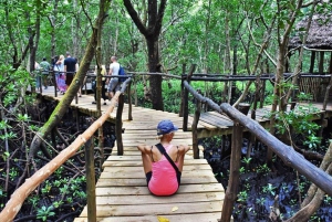 Jozani Forest: Rode franjeapen en mangrove rondleiding