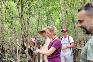 Jozani Forest: Rode franjeapen en mangrove rondleiding