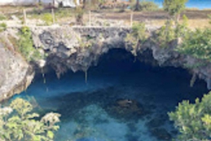 ZANZIBAR:Jozani forest,Visit Sea turtles Sanctuary+the rock