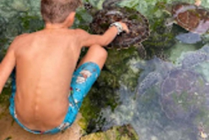 ZANZIBAR:Jozani forest,Visit Sea turtles Sanctuary+the rock