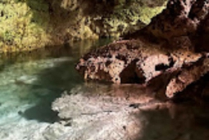 ZANZIBAR:Jozani forest,Visit Sea turtles Sanctuary+the rock