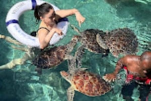 ZANZIBAR:Jozani forest,Visit Sea turtles Sanctuary+the rock
