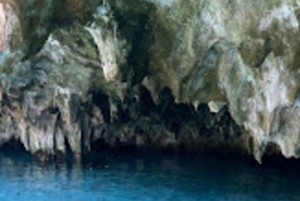 ZANZIBAR:Jozani forest,Visit Sea turtles Sanctuary+the rock