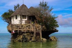 ZANZIBAR:Jozani forest,Visit Sea turtles Sanctuary+the rock