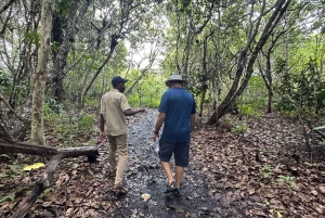 ZANZIBAR: Jozani forest, turtles Sanctuary & Rock Restaurant