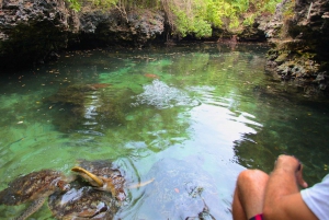 ZANZIBAR: Jozani forest, turtles Sanctuary & Rock Restaurant