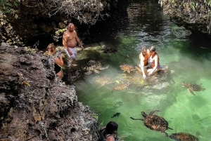 ZANZIBAR: Jozani forest, turtles Sanctuary & Rock Restaurant
