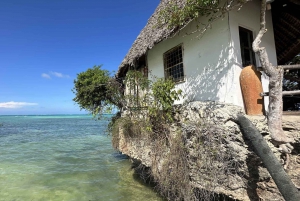ZANZIBAR: Jozani forest, turtles Sanctuary & Rock Restaurant