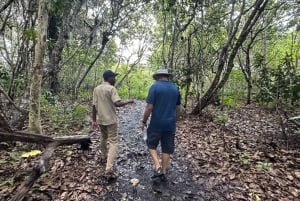Jozani Forest, kuza cave and mtende beach