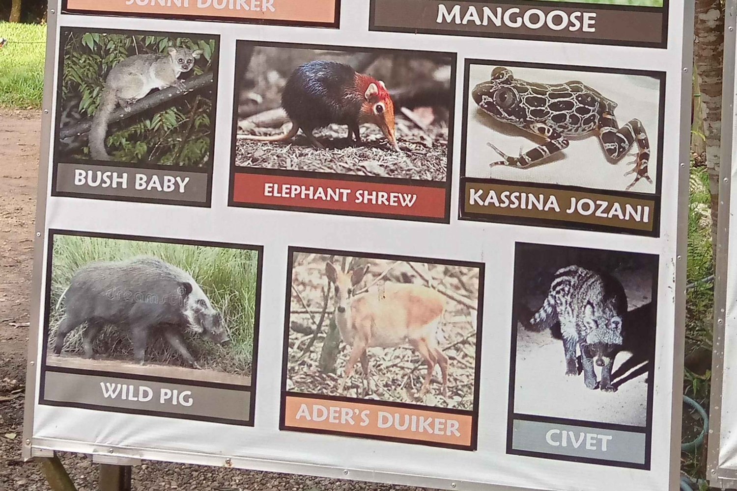 ZANZIBAR:Amazing tour Nakupenda SandBank with fruits