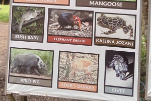 ZANZIBAR:Amazing tour Nakupenda SandBank with fruits