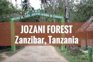 Passeio pela floresta de Jozani