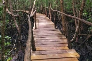 Tour a piedi nella foresta di Jozani