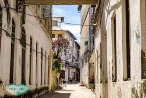Jozani forest with Stone town walking tour (half day)