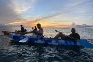 Kayak Mangrove Tour