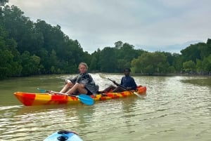 Kayak Mangrove Tour