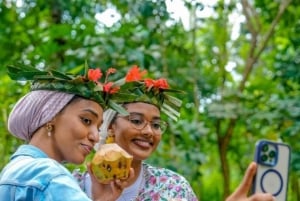Kayak Tour in Mangrove Forest and Spice farm tour with lunch