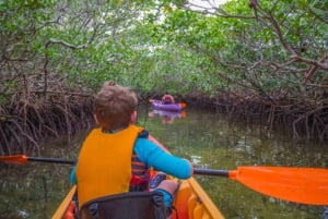 Kayak Tour in Mangrove Forest and Spice farm tour with lunch