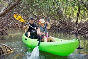 Kayak Tour in Mangrove Forest and Spice farm tour with lunch