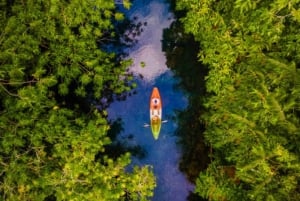 Kayak Tour in Mangrove Forest and Spice farm tour with lunch