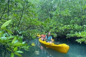 Kayak Tour in Mangrove Forest and Spice farm tour with lunch